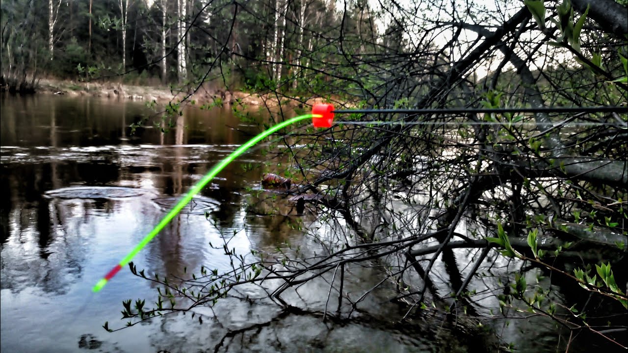 ЖАДНЫЕ ПОКЛЁВКИ НА БОКОВОЙ КИВОК, ОТКРЫЛ СЕЗОН