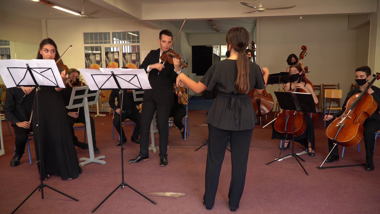 Vivaldi Concerto for two violins in A minor RV522 1st Movement