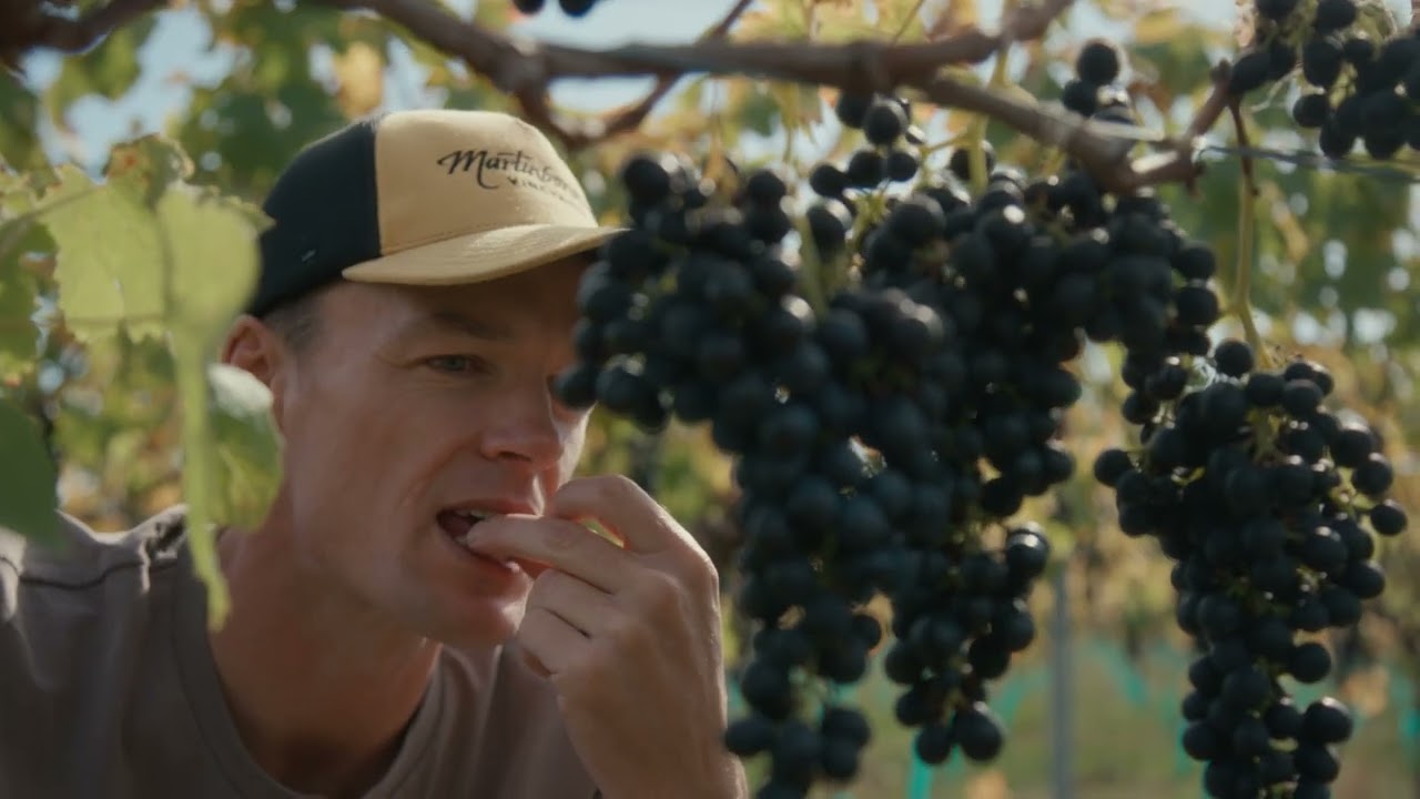 Martinborough Vineyard Vintage 2025