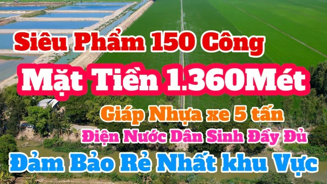 (Số 883) Siêu Mặt Tiền💥1.360Mét | Cho👉 150 Công | Giá Siêu Rẻ Mặt Tiền Nhựa Đầy Đủ Các Tiện Ích