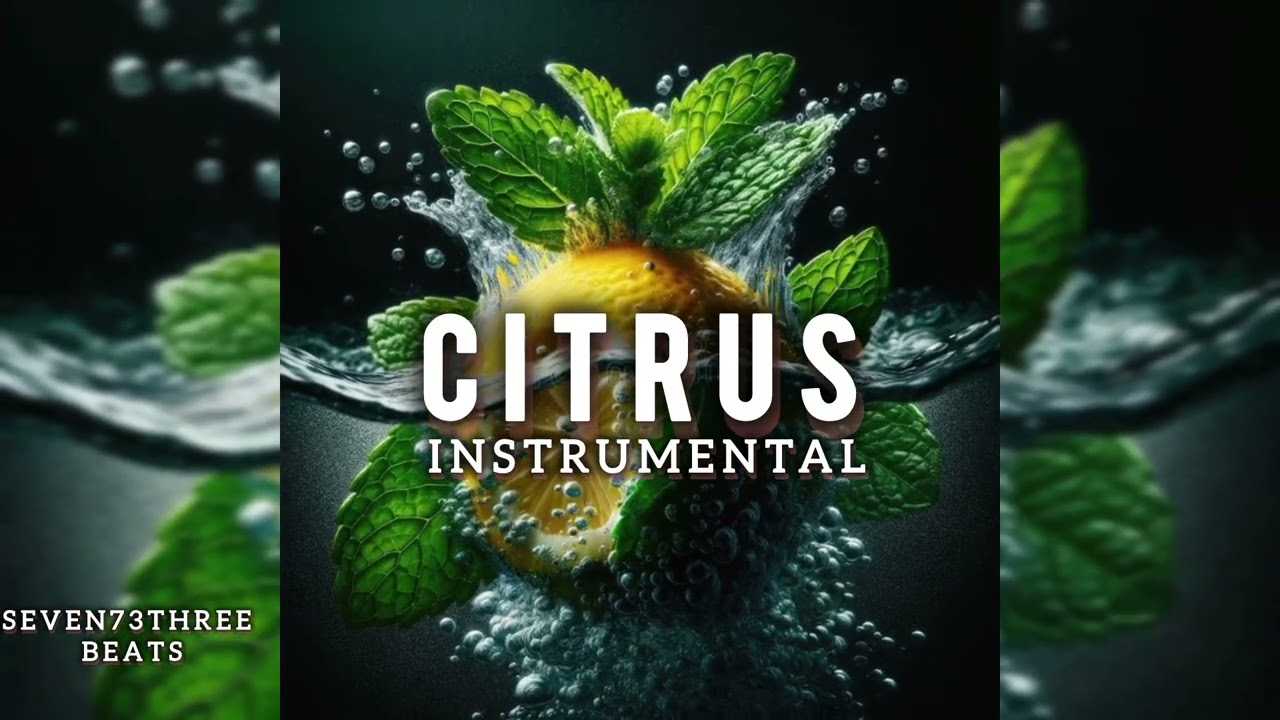 New Dancehall Beat (CITRUS)Official  Instrumental 2026
