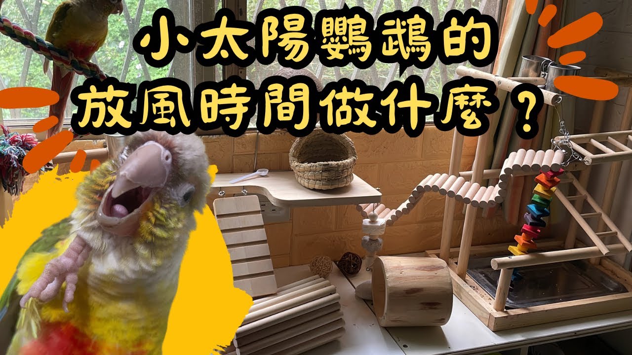 【開箱玩具】84g的壯碩小太陽平常放風都玩什麼吃什麼❓