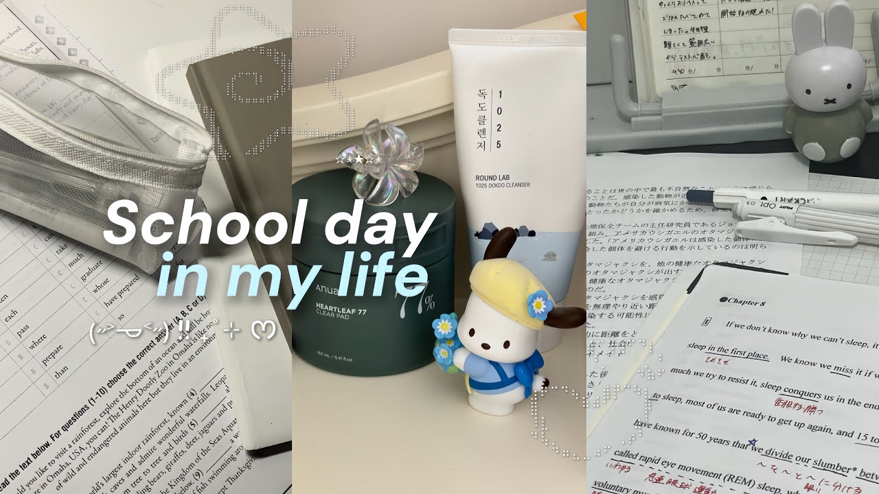 School day in my life: STUDY VLOG, productive day, studying a lot, pinterest schoolgirl 