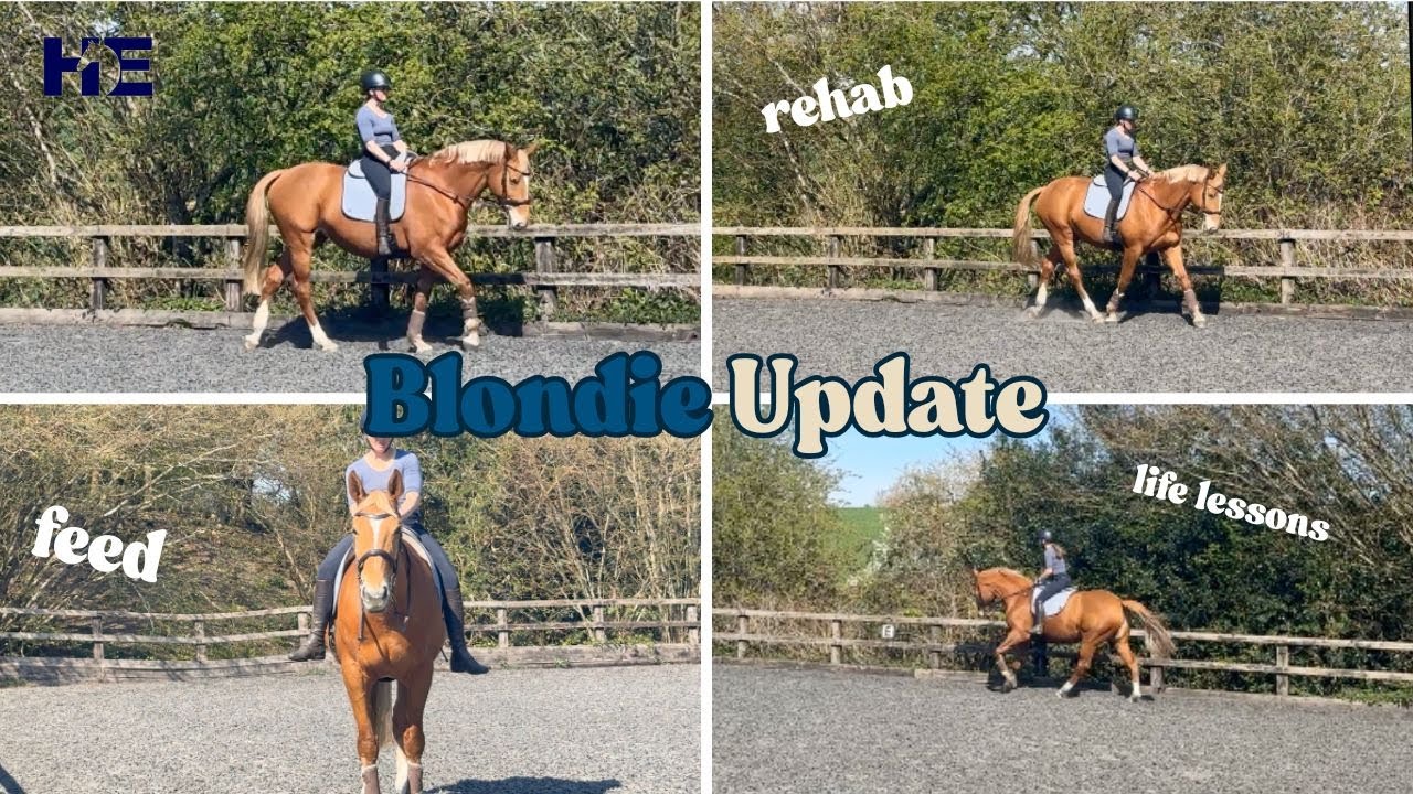 Come Ride Blondie with me | Update