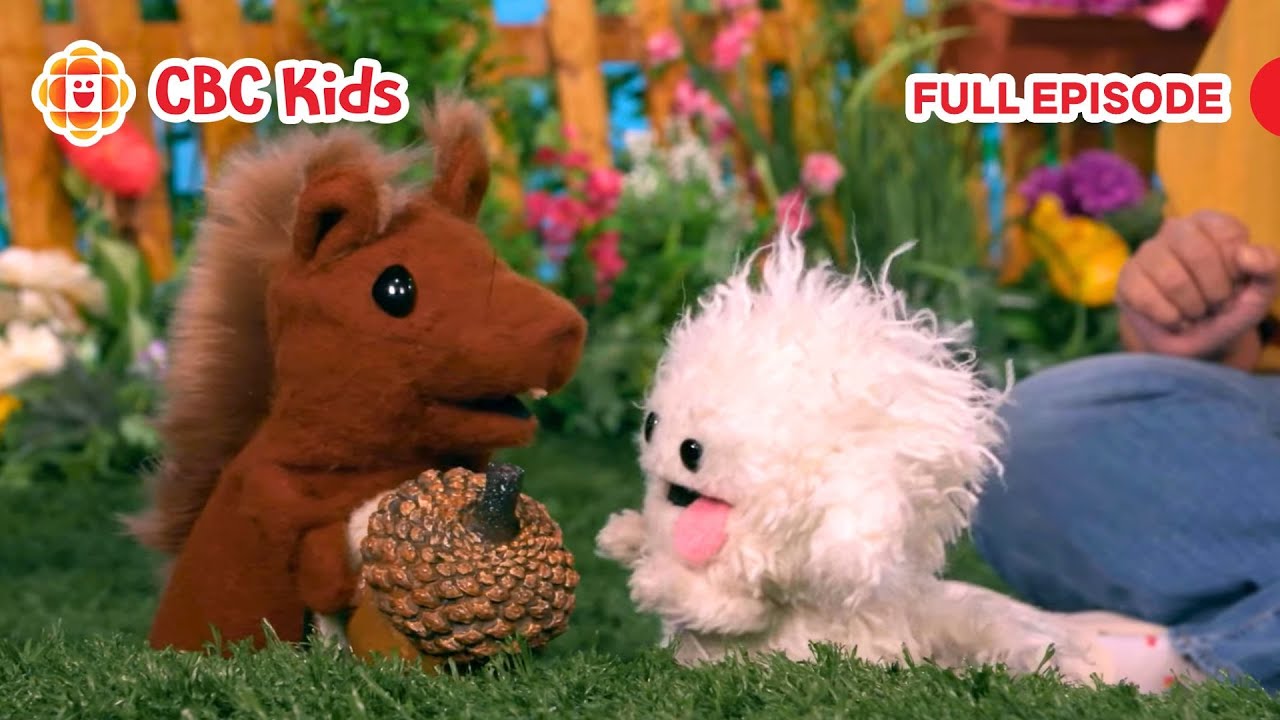 ASL Preschool Show | Sharing (Silly Paws) | CBC Kids