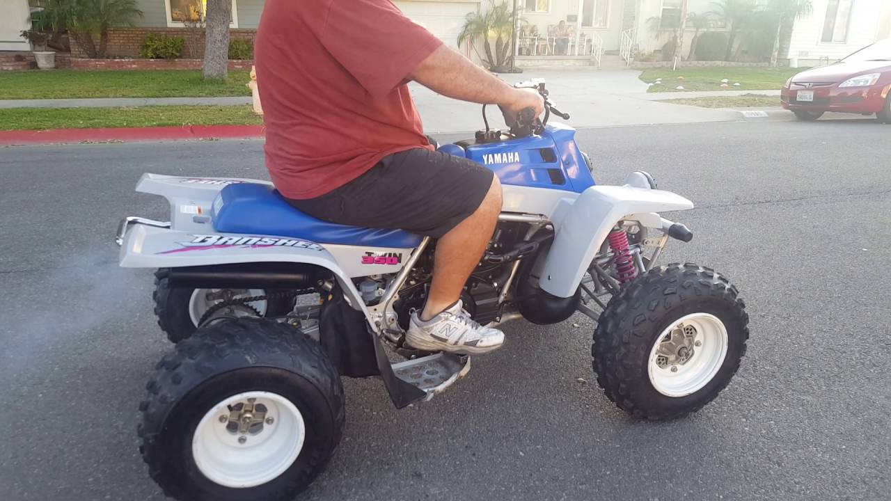 1991 banshee