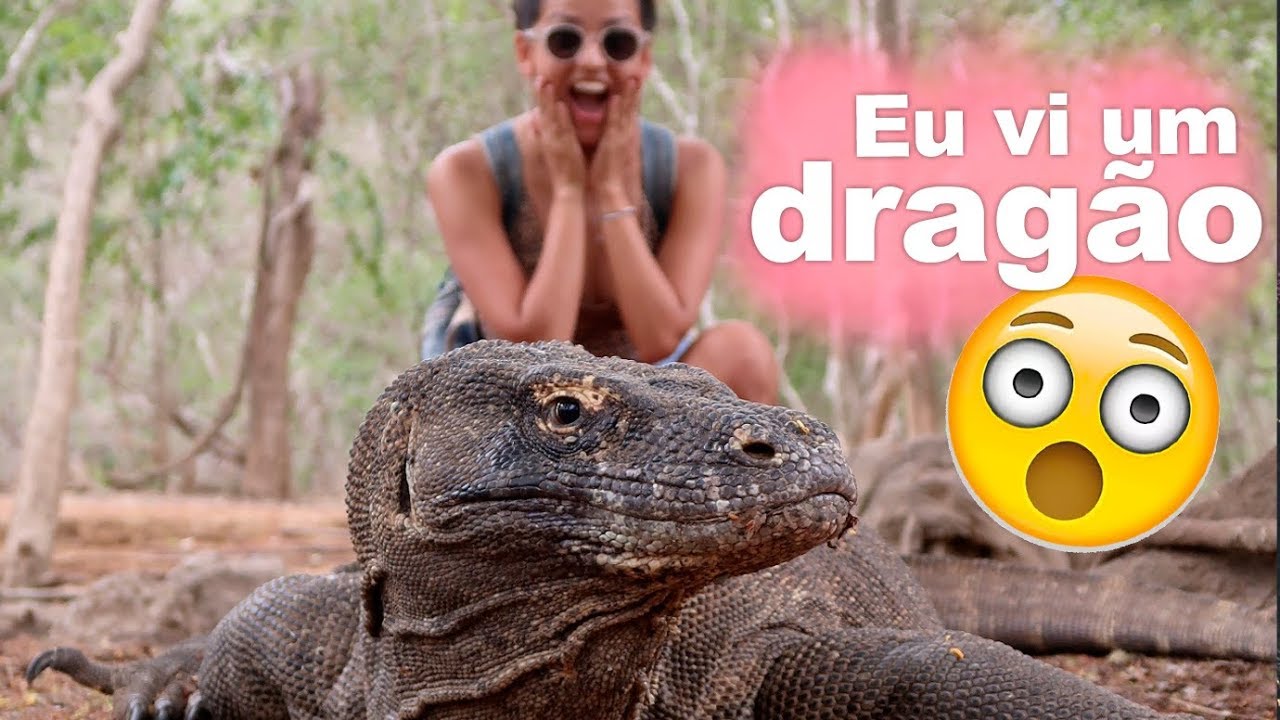 KOMODO: 3 DIAS NO PARQUE NACIONAL PRA VER O DRAGÃO DE KOMODO #EP13 | Prefiro Viajar