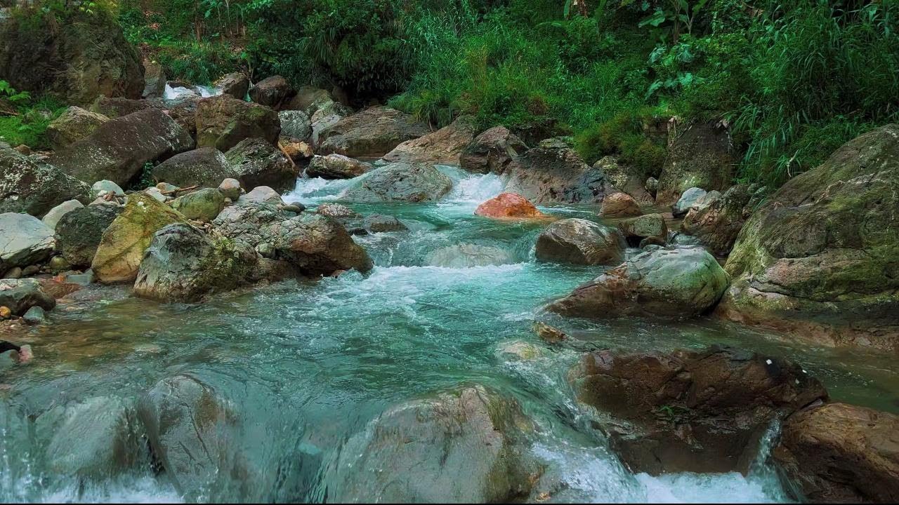 River Water Sounds for Sleeping, River Sounds for Relaxation, Water Sounds for Stress Relief