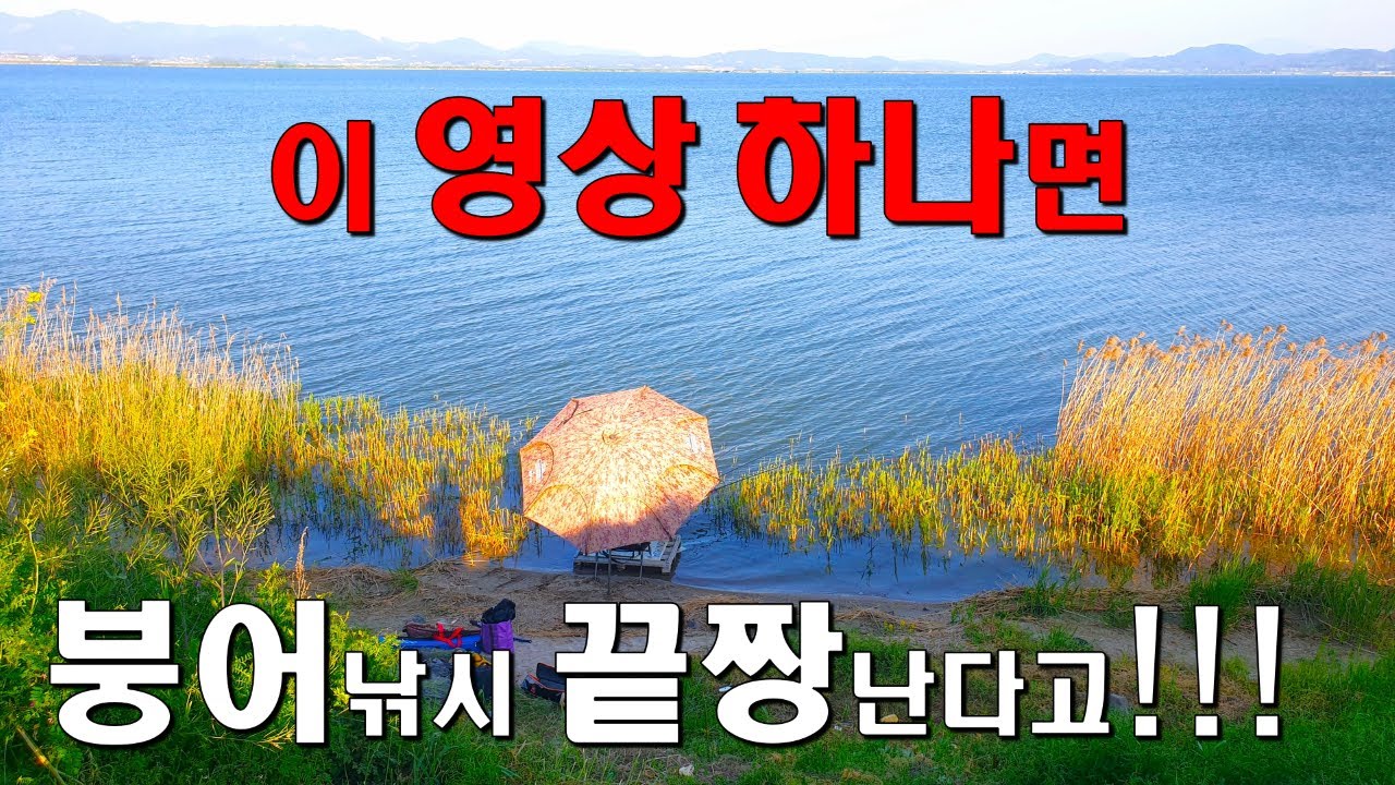 이 영상 하나면 붕어낚시 끝짱난다고!!!