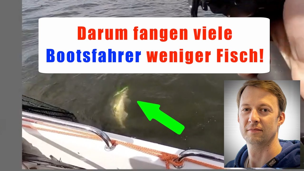 ► Dieser Fehler kostet Bootsangler Fisch 🐟 Und fast JEDER hat ihn schon gemacht ★★★★★ (2023 Update)