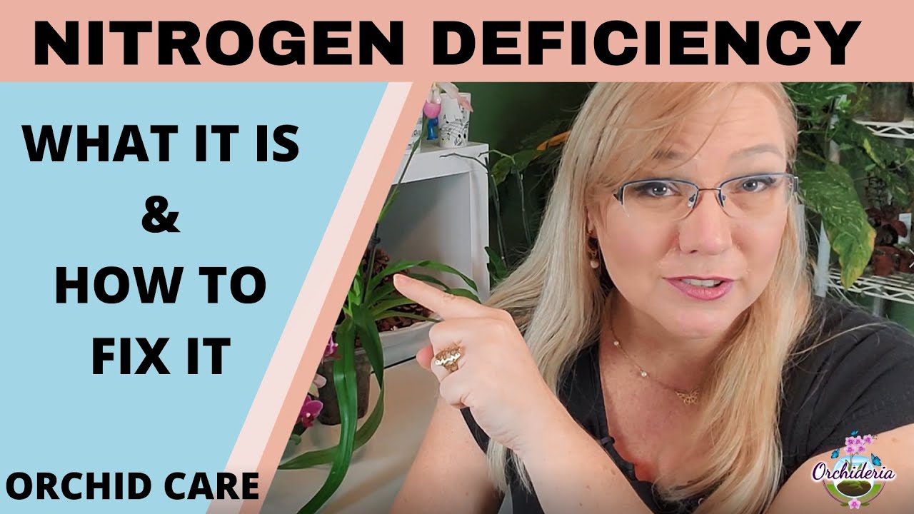 Nitrogen Deficiency: Is Your Orchid Struggling to Bloom?