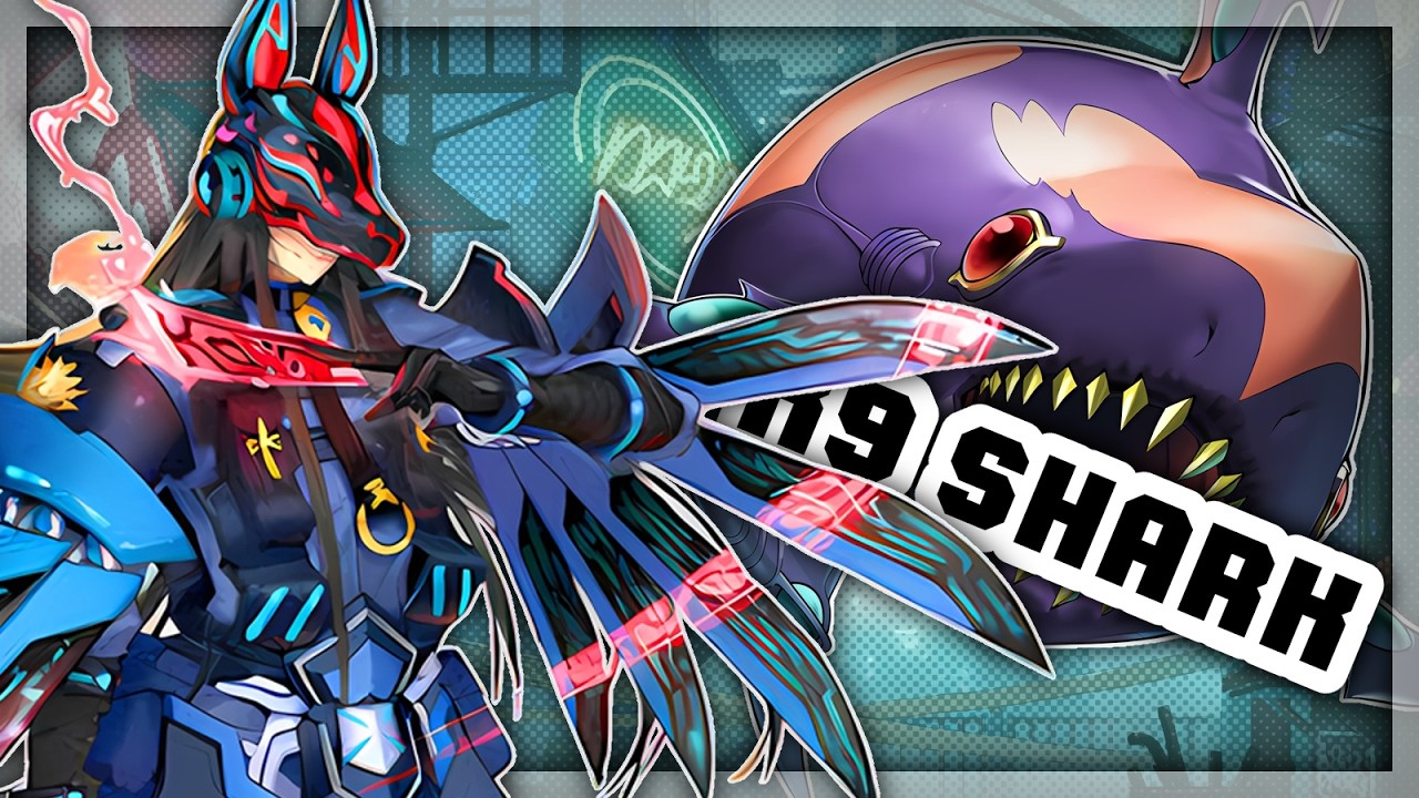 SHARK K9 DECK ┃ Master 1 ┃ 𝖮𝖻𝗌𝖾𝗋𝗏𝖺, 𝖣𝖾𝖼𝗂𝖽𝖾 𝗒 𝖢𝗈𝗇𝗍𝗋𝗈𝗅𝖺!