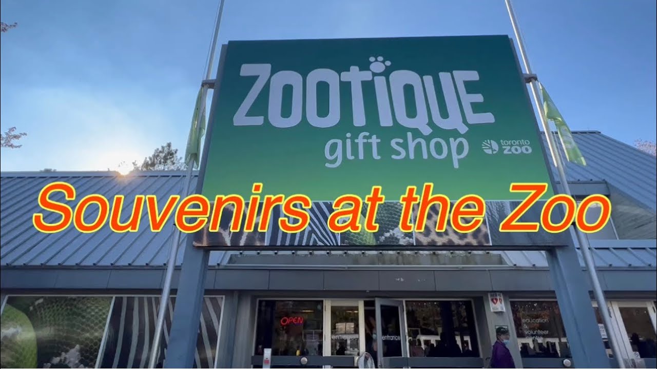 LOOKING FOR SOUVENIRS|BEFORE LEAVING|TORONTO ZOO