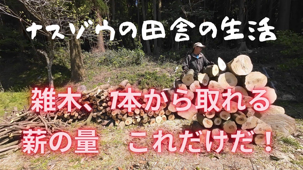 【雑木、1本から取れる薪の量】No.113  ナスゾウの田舎の生活