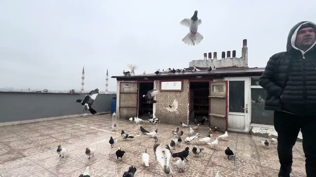 KAÇAK YAKALAMA AMMA NAZLI ÇIKTI 