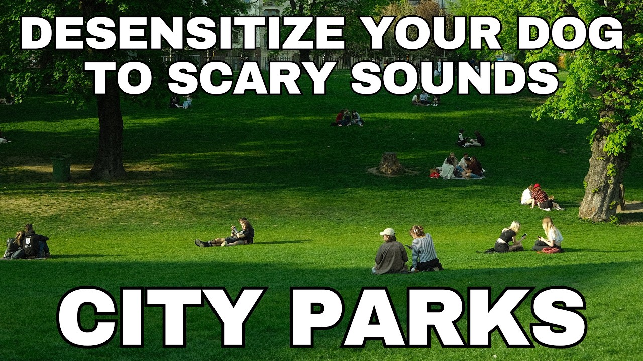 10 HOURS of City Park Sounds for Dog and Puppy Desensitization