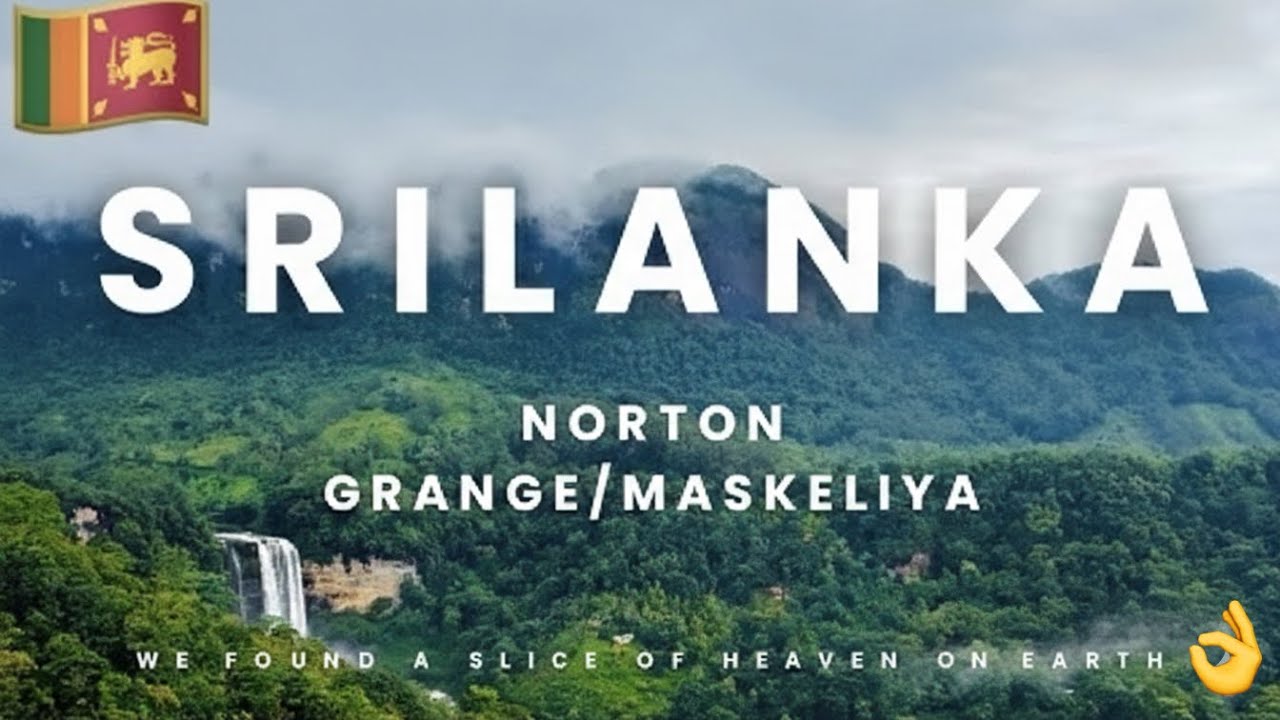 Norton Grange Villa මස්කෙලිය🇱🇰යාලුවොත් එක්ක ෆැමිලි එකත් එක්ක නිවාඩුවක් ගත කරන්න සුපිරි තැන👌✨😍