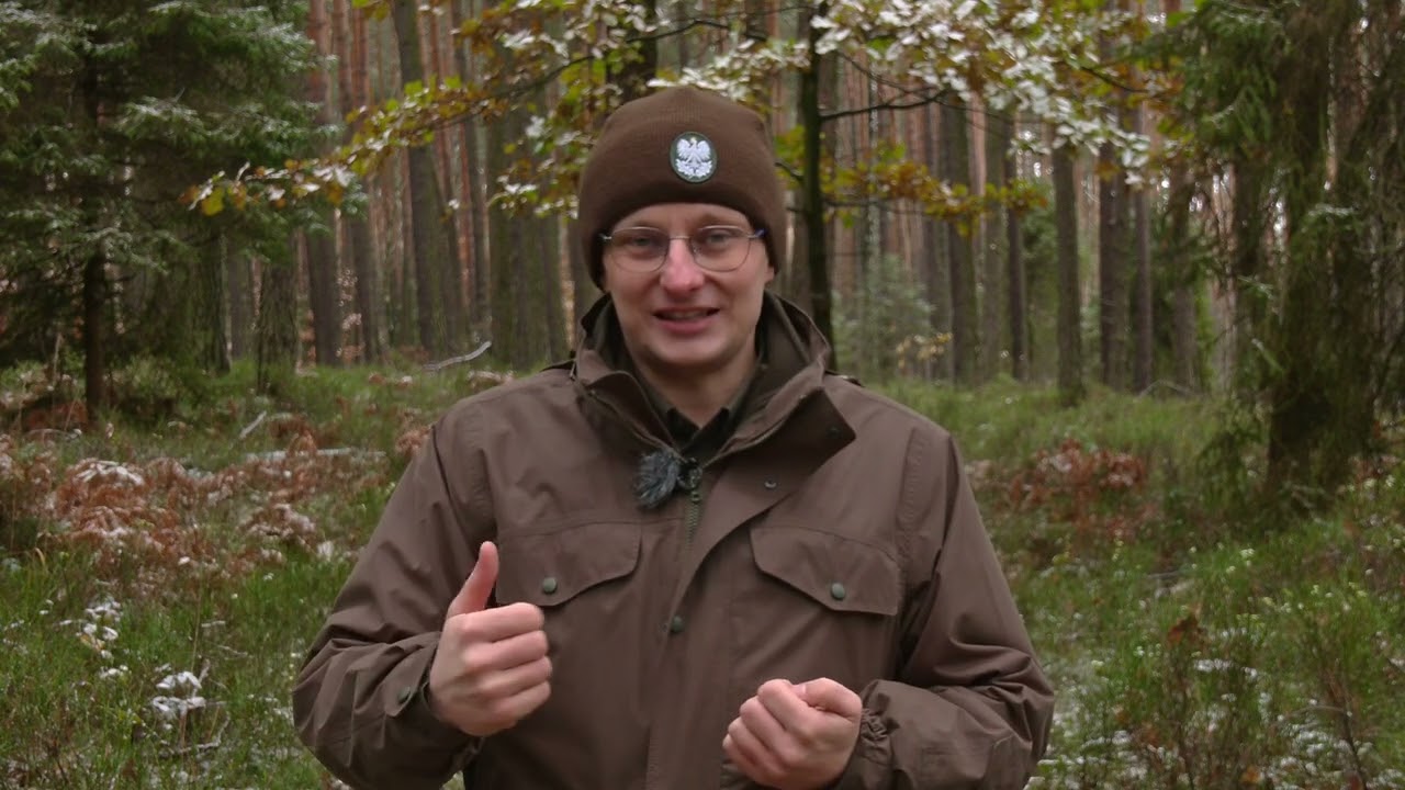Cztery Pory Lasu odc.11: Leśne spacery