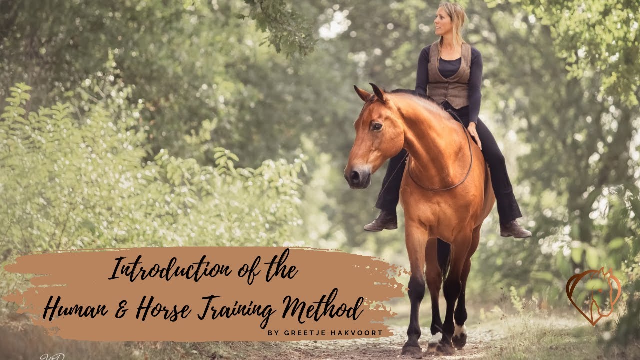 Start to transform your horse with our home study program! 🐴✨