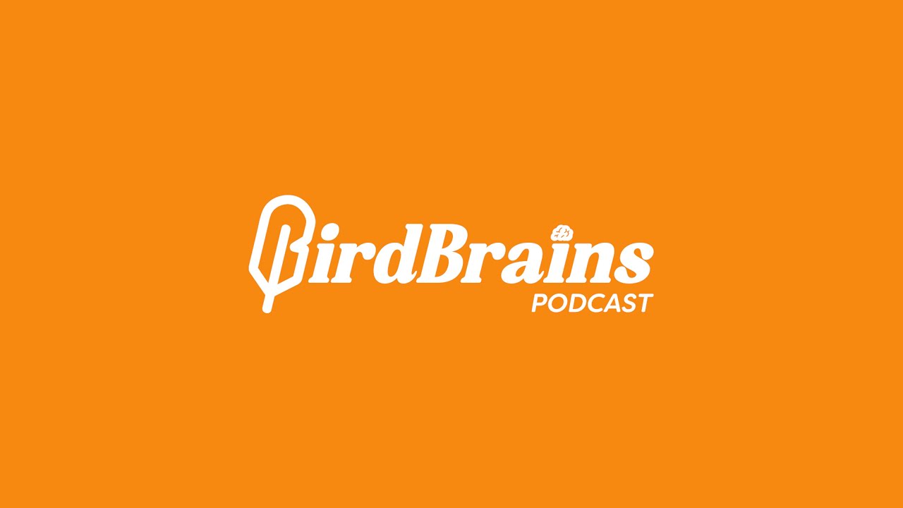 The Birdbrains Podcast