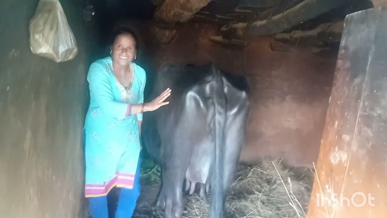 आज प्रिंस ने की मदद