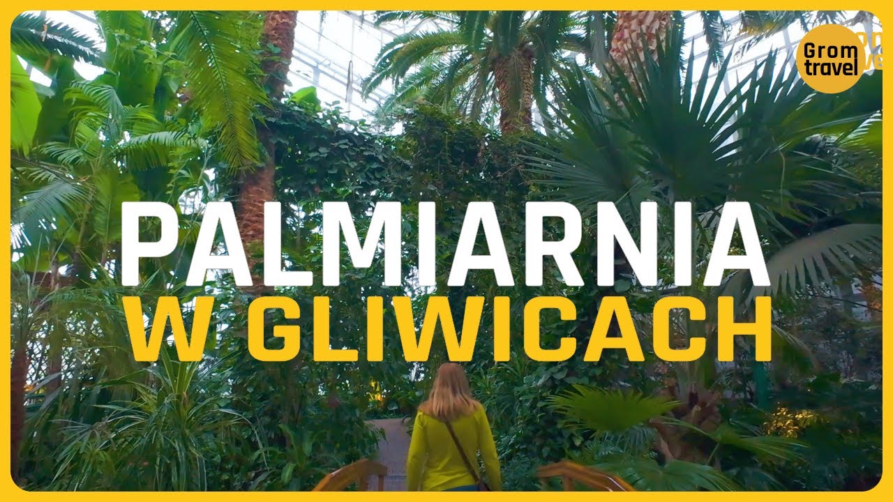 Palmiarnia Miejska Gliwice - egzotyka w centrum miasta !
