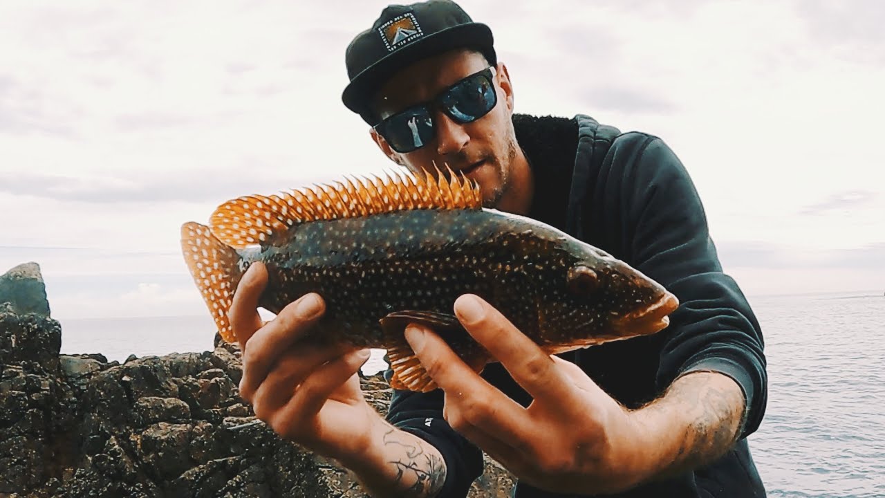 SOUTH COAST CLIFF WRASSE FISHING | DRIFT FISHING OFFICIAL  | LURE FISHING UK