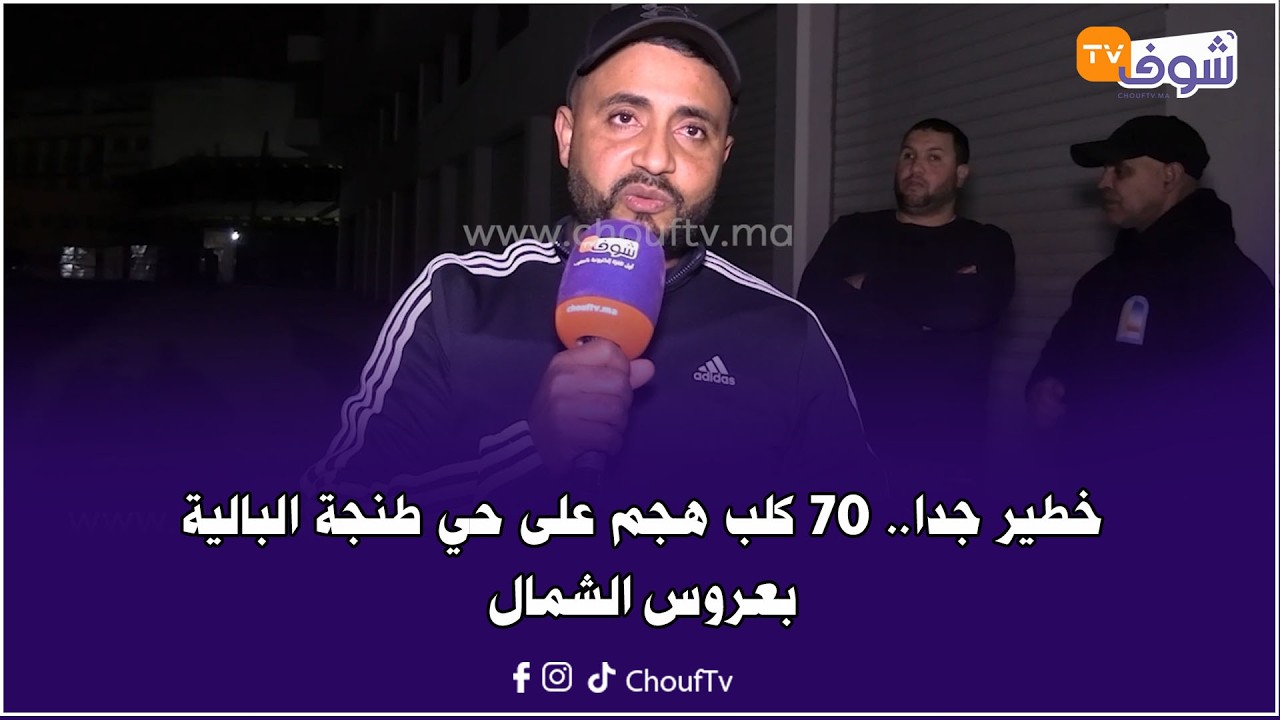 مرعب.. 70 كلب هجم على حي طنجة البالية بعروس الشمال وتسبب ليهم فإصابات خطيرة