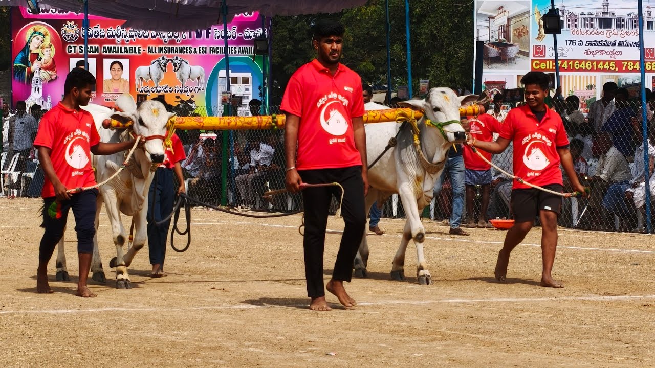 రెంటచింతల పాల పళ్ళ 5.జత.B. ధరణ్ తేజ గారు పెద్దగార్లపాడు గ్రామం. దాచేపల్లి మండలం పల్నాడు జిల్లా