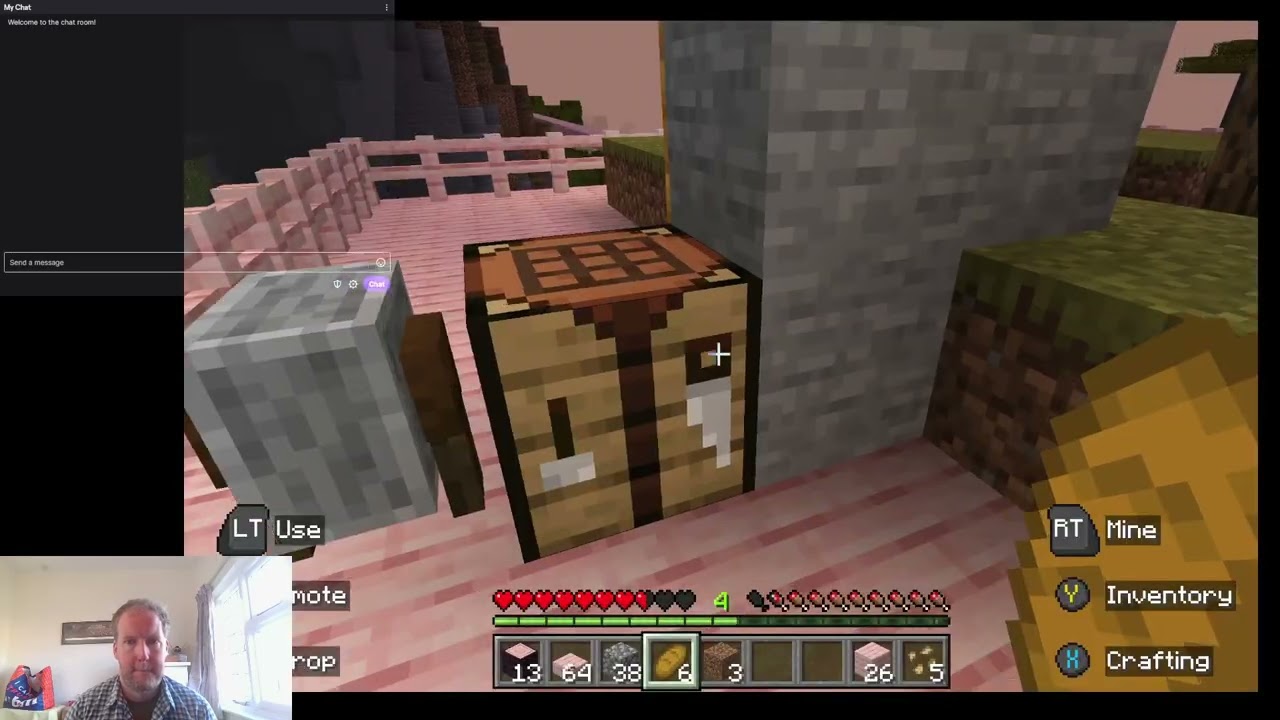 Minecraft Mountain survival day 29