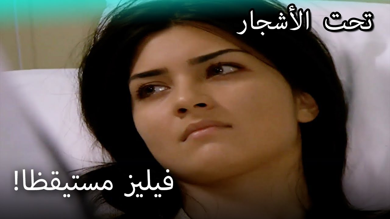فيليز لا يتحدث إلى أي شخص! - القسم الخاص تحت الزيزفون