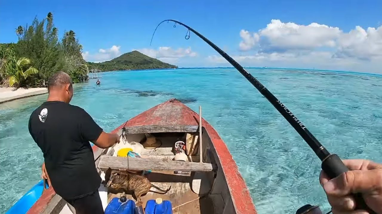 Je PÊCHE AU LANCER pour la première fois sur l'île de BORABORA!IL Y A DU POISSONS PARTOUT !