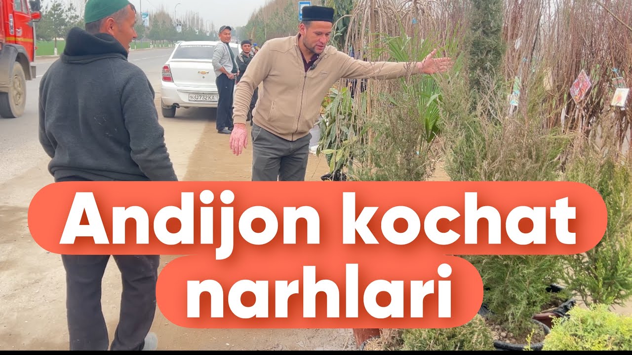 +998 93 259 77 96 Kochat narhlari 