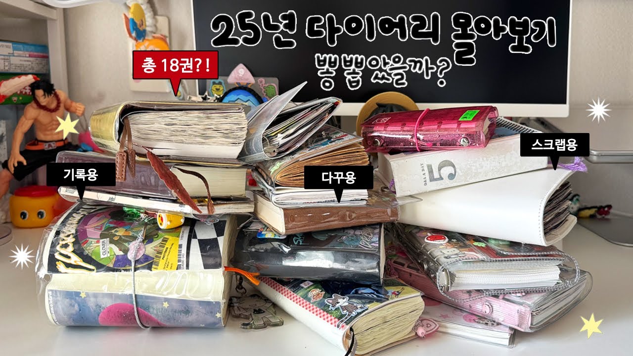 매일 쓰던 25년 다이어리 18권 몰아보기! 과연 ⭐️뽕⭐️ 뽑았을까? (기록 / 다꾸 / 스크랩)