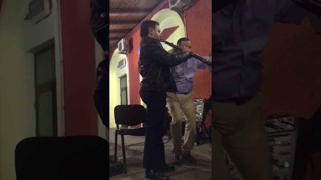 Recital Petrica Vita ruga Plugova 2017