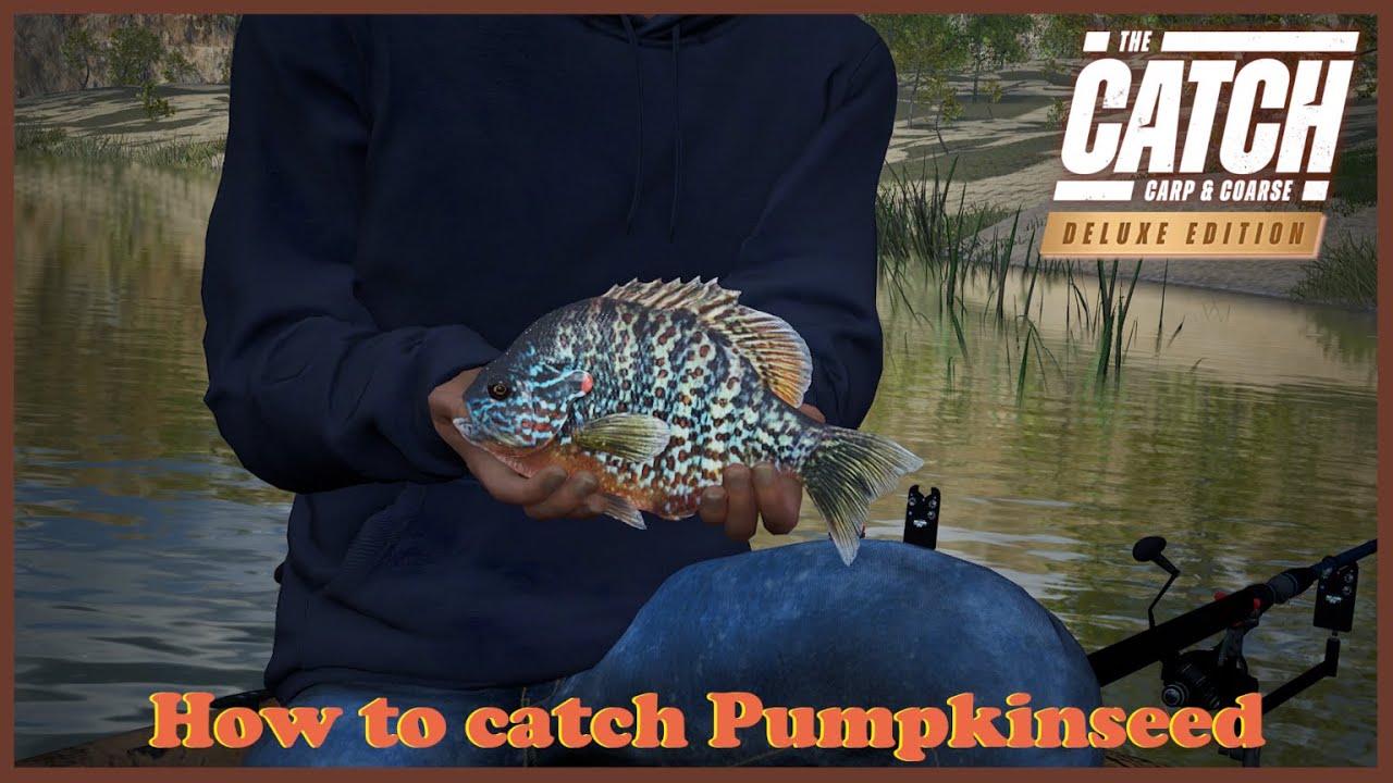 Figuring out how to catch a bunch of Pumpkinseed in The Catch
