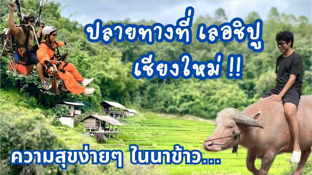 ใช้ชีวิตกับคนแปลกหน้าในนาข้าว เลอชิปูโฮมสเตย์ และพบเพื่อนใหม่ระหว่างทาง : นั่งรถไฟกรุงเทพ-เชียงใหม่