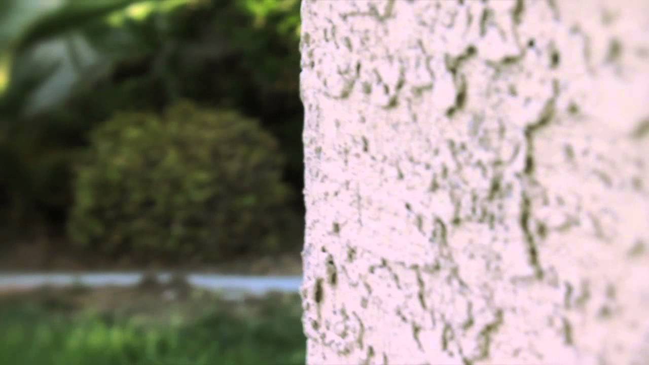 Statue - a Short Film by Tony