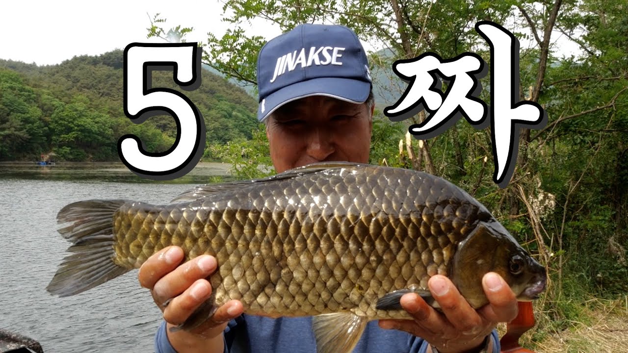 계측판 꽉 채워본 적 있으십니까? 5짜면 가능합니다ㅋ