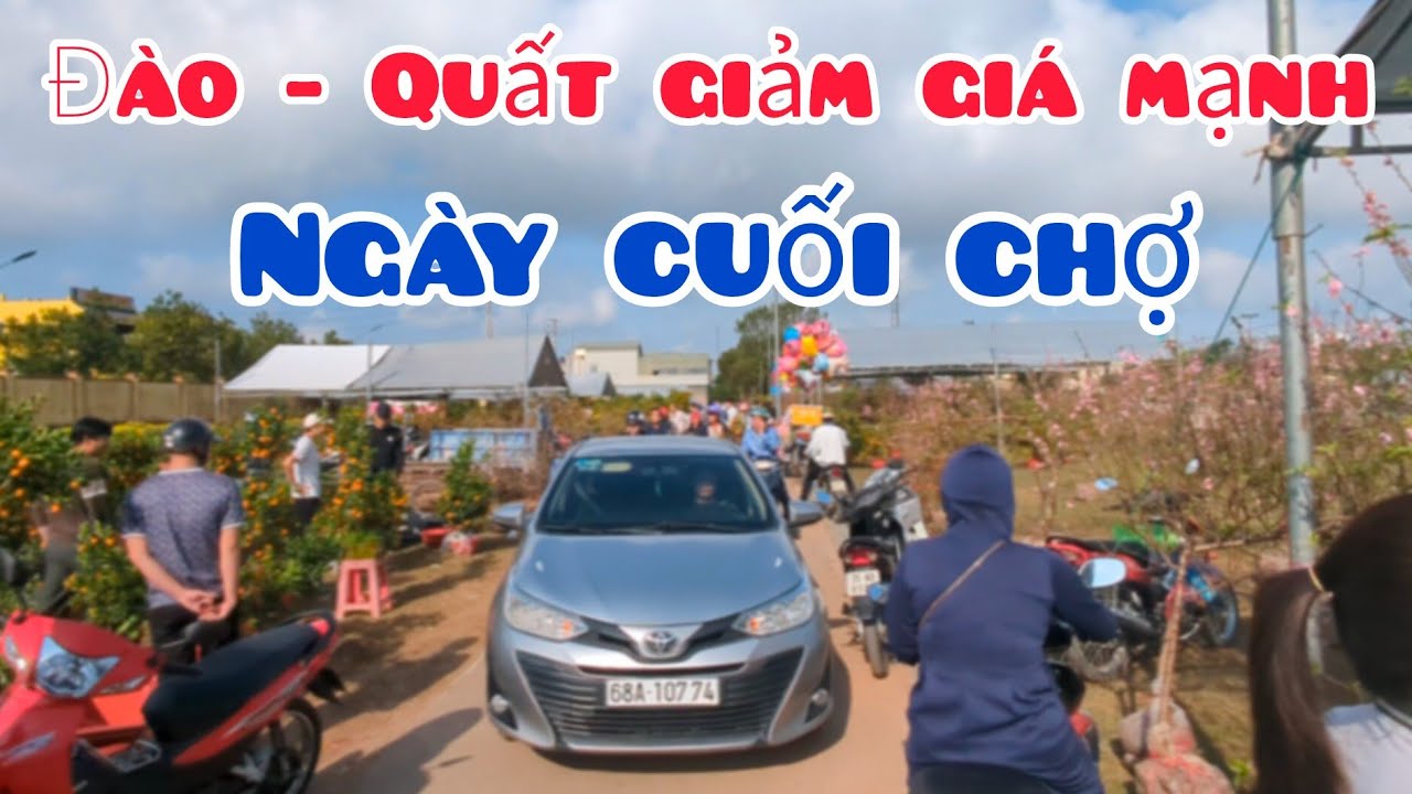 Cập nhật thị trường chợ Hoa Tết Bính Ngọ. Tất cả các gian hàng Hoa - Đào - Quất giảm giá mạnh.