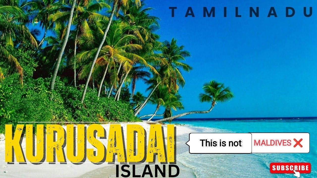 Kurusadai Island 🏝️ | Tamilnadu  #island #islandtrip #tamilnadu #rameshwaram #sea #beach #viral 