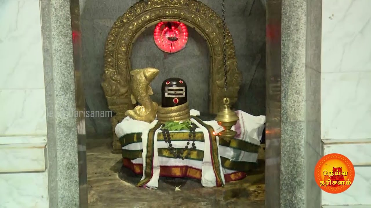 மீன ராசிக்காரர்கள் வழிபட வேண்டிய மச்சபுரீஸ்வரர் ஆலயம் | Machapureeswarar Temple | Deiva Darisanam