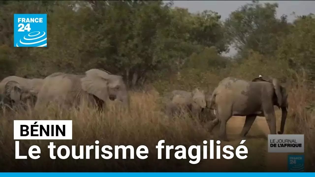 Au B&eacute;nin, la fermeture de la r&eacute;serve de la Pendjari fragilise toute la r&eacute;gion &bull; FRANCE 24