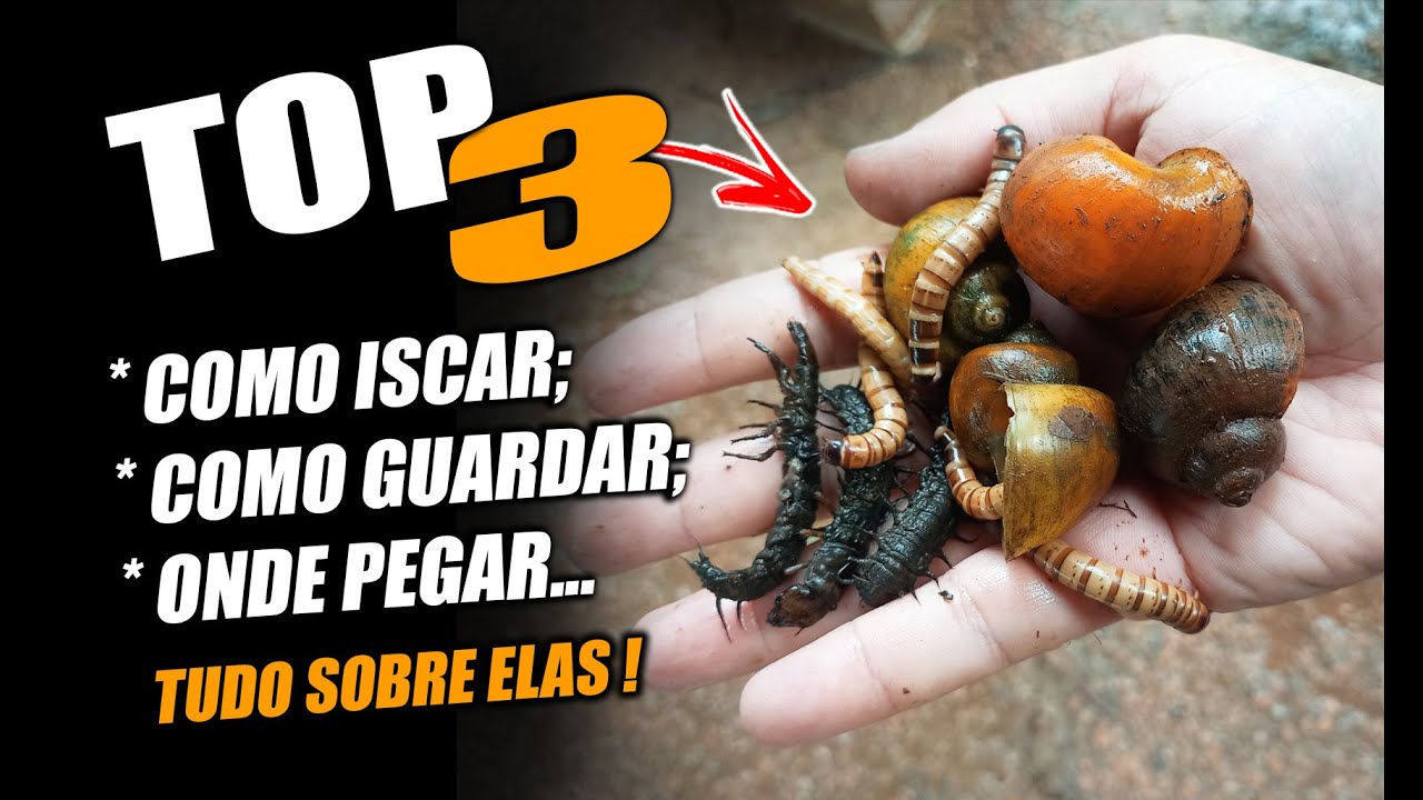 NO FRIO COM ESSAS 3 ISCAS VOCÊ VIRA REI DOS PIAUS E PIAPARAS!