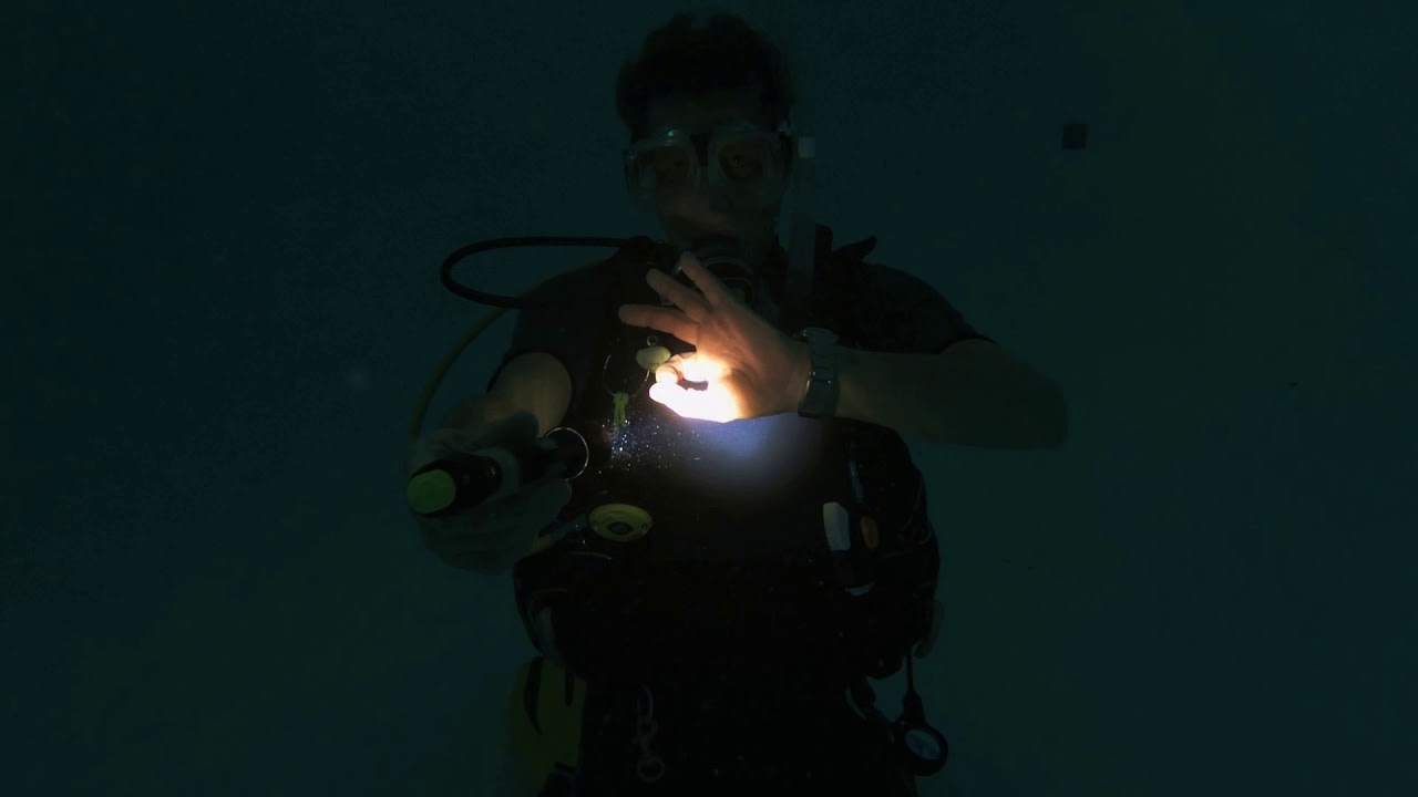 Communicating at Night while Diving