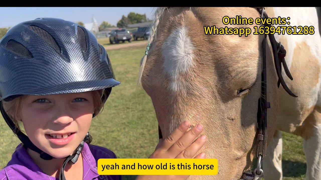 Canada 4H horse riding show Saskatoon