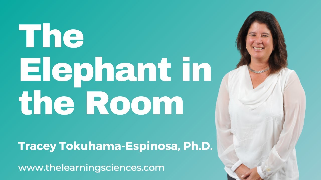 The Elephant in the Room: Teacher Education+Mind, Brain, and Education Science