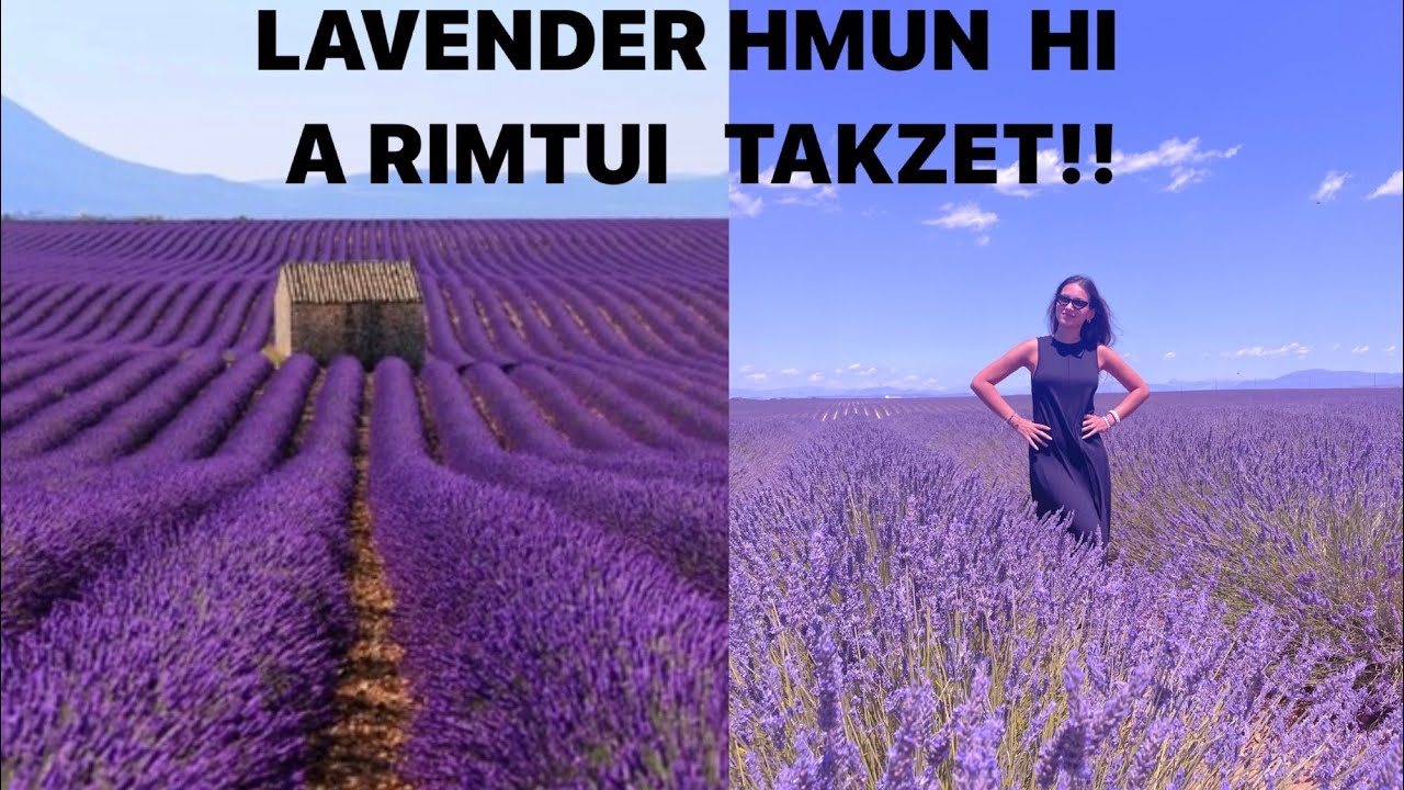 KHAWVEL A LAVENDER FIELD MAWI LEH LAR BER MAI CHU!! || Zoparin Hajmola Lavender rawng a ei