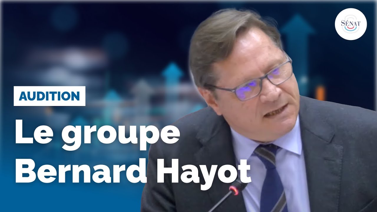 Aides aux entreprises : audition du groupe Bernard Hayot