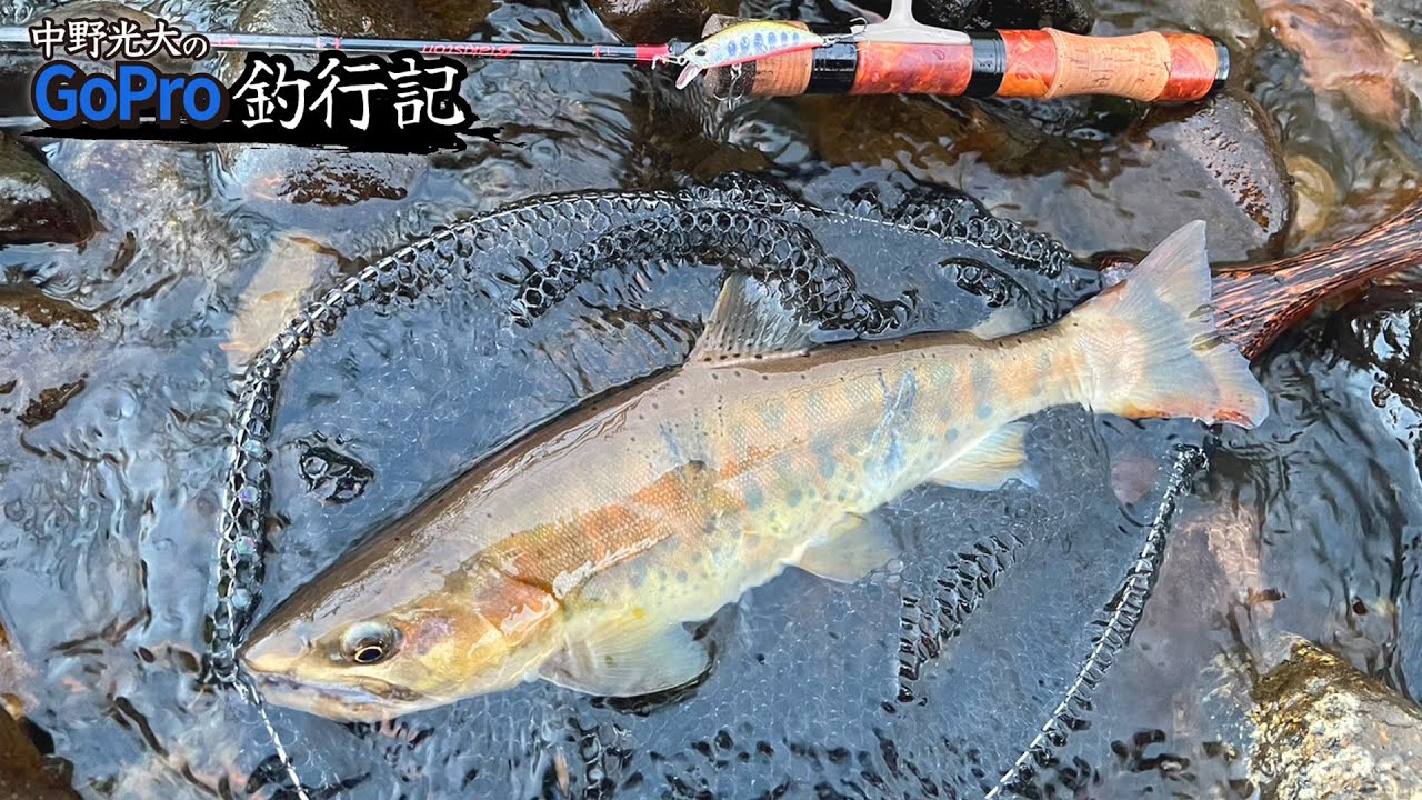 中野光大のGoPro釣行記（秋ヤマメ炸裂）